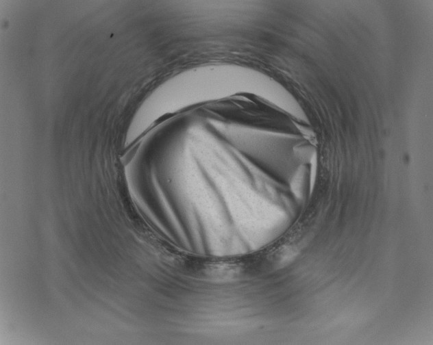 X0000073740319200608241328