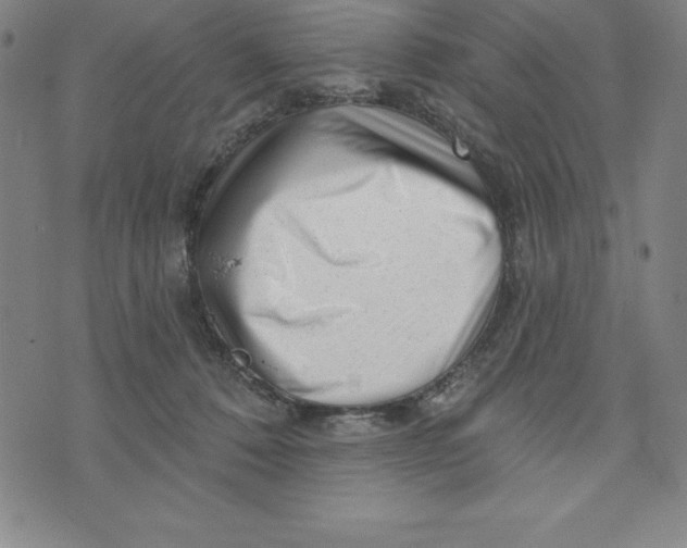 X0000073740320200608241328