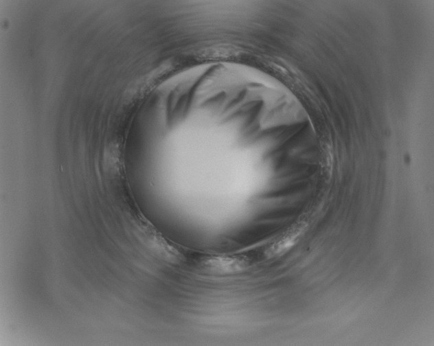 X0000073740326200608241328