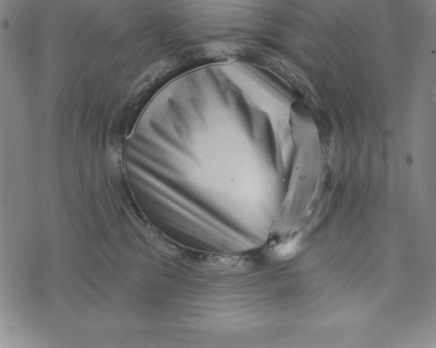X0000073740329200608241328