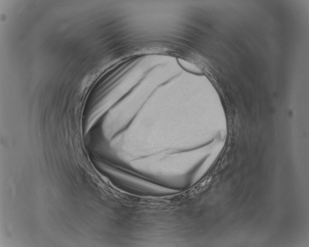 X0000073740337200608241327