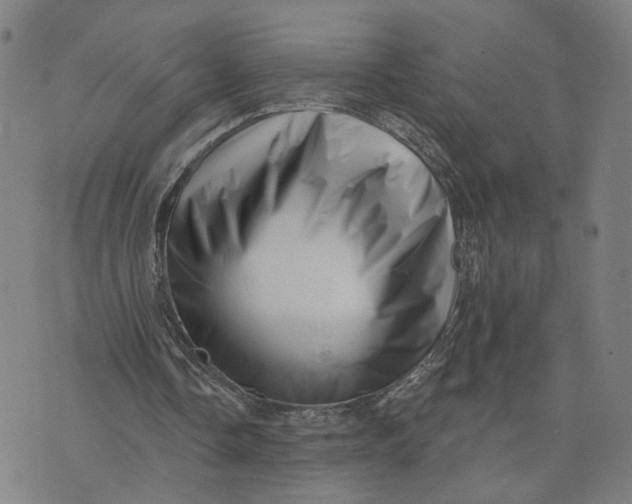 X0000073740338200608241327