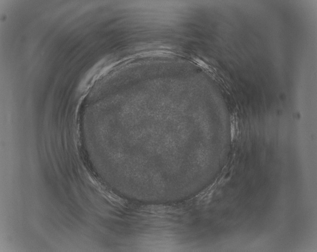 X0000073740339200608241327