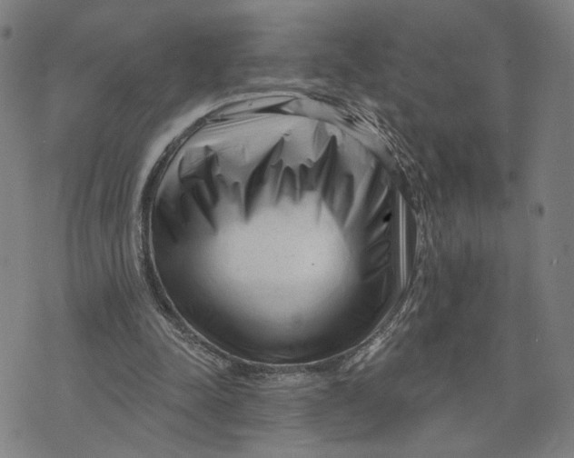 X0000073740342200608241327