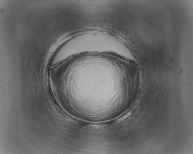 X0000073740343200608241327
