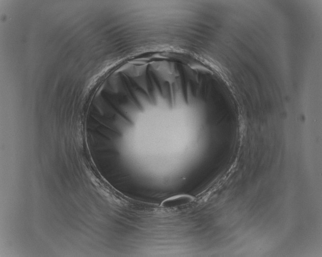 X0000073740345200608241327