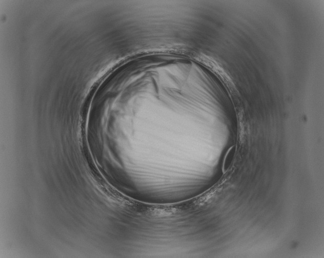 X0000073740346200608241327