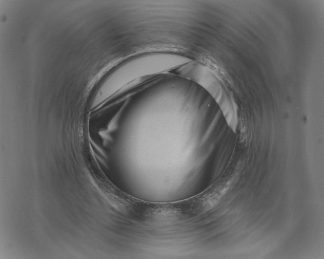 X0000073740348200608241327