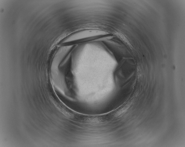 X0000073740349200608241327