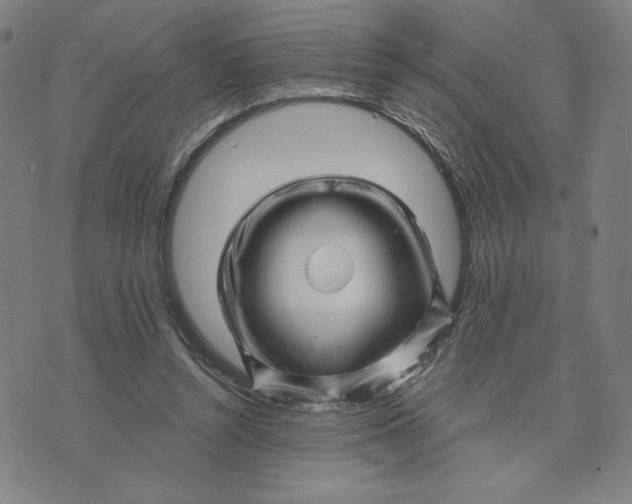 X0000073740352200608241328