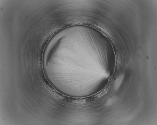 X0000073740353200608241328