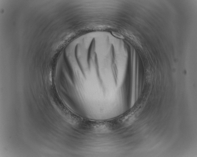 X0000073740358200608241328