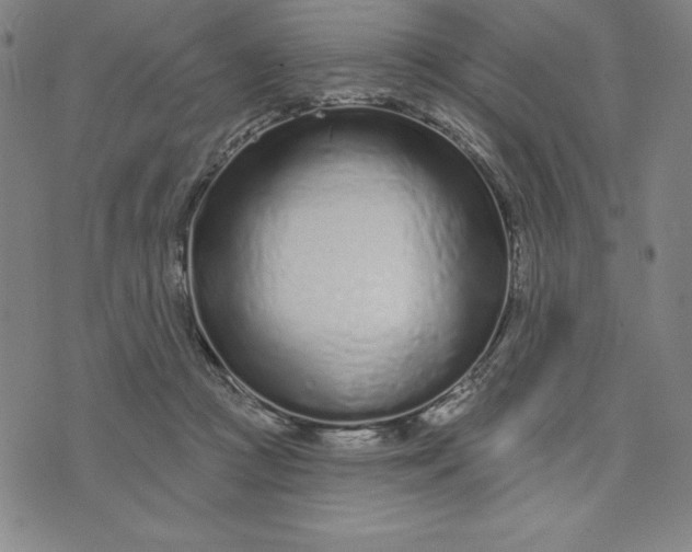 X0000073740361200608241328