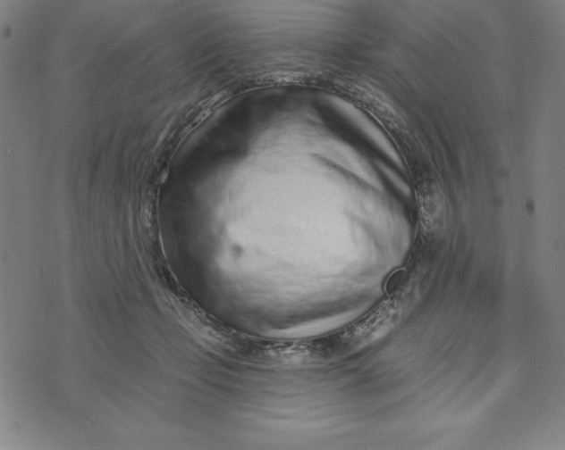 X0000073740365200608241328