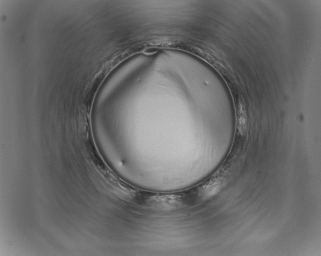 X0000073740367200608241328