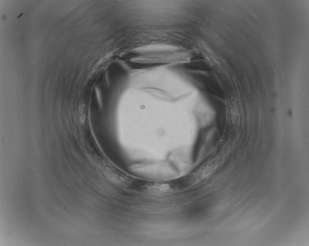 X0000073740374200608241328