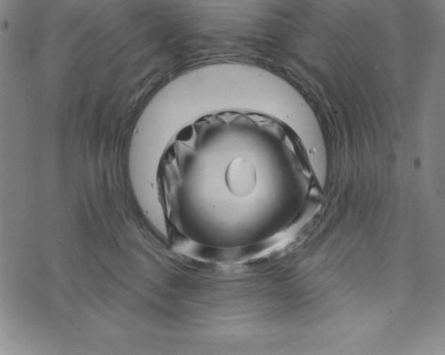 X0000073740376200608241328