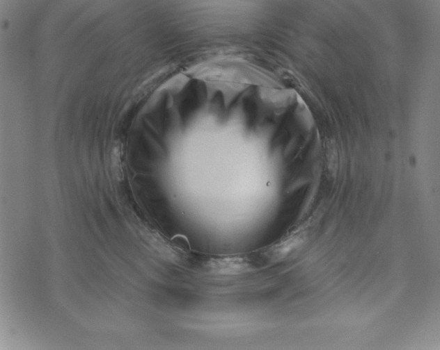 X0000073740378200608241328