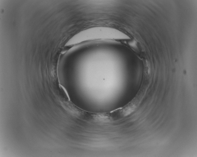 X0000073740380200608241328
