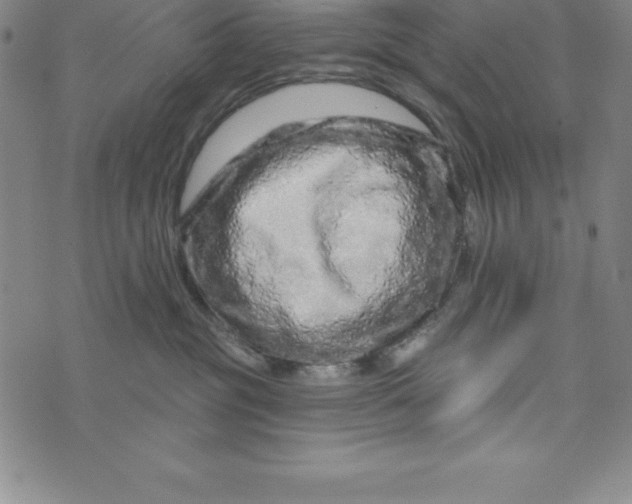 X0000073740381200608241328