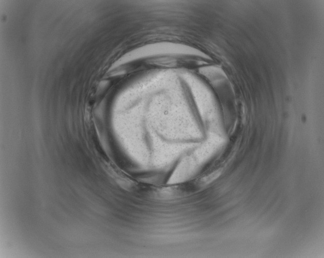 X0000073740382200608241328
