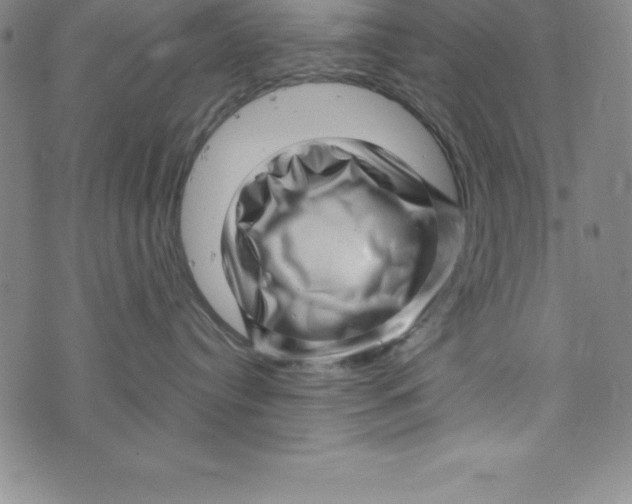 X0000073740384200608241328
