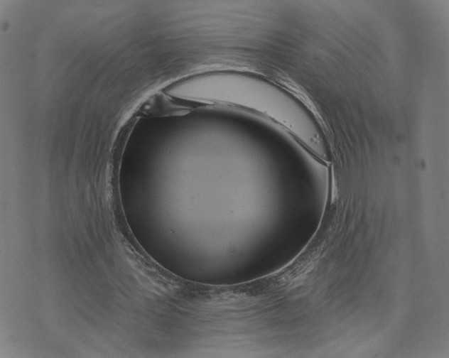 X0000073740387200608241327