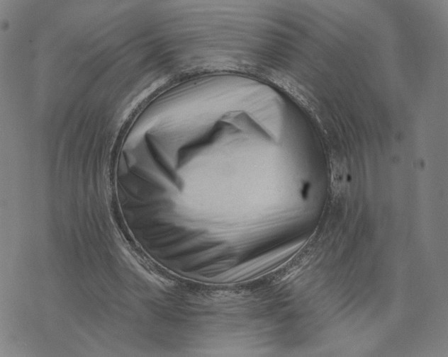 X0000073740390200608241327