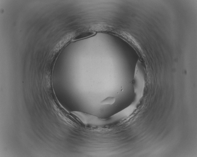 X0000073740393200608241327