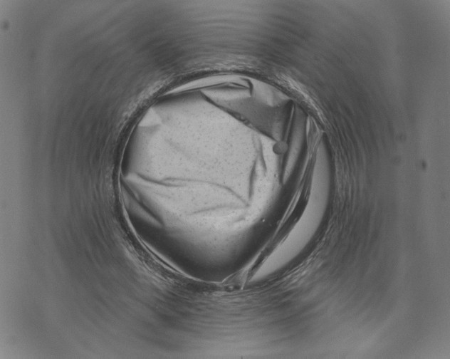 X0000073740394200608241327