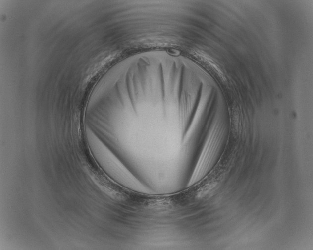 X0000073740398200608241327