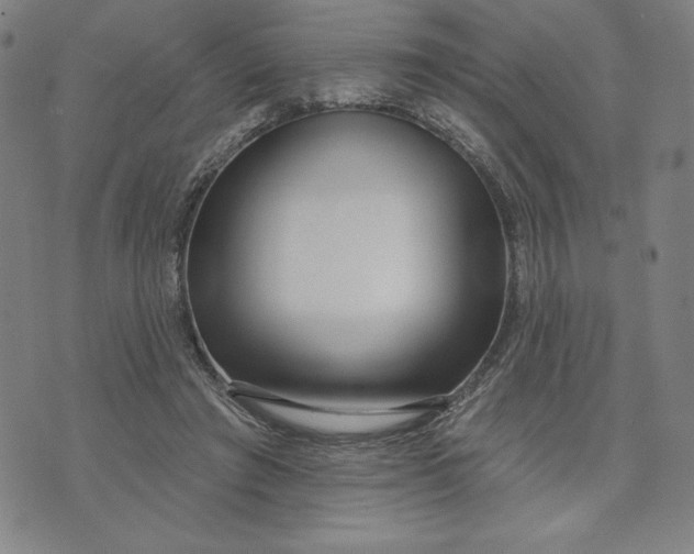 X0000073740401200608241327
