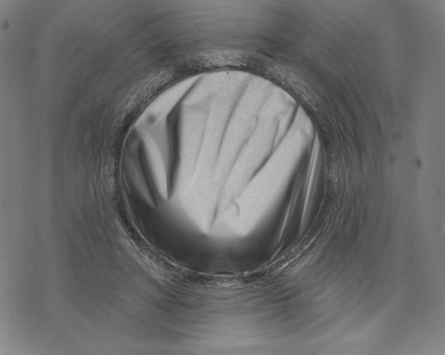 X0000073740402200608241327