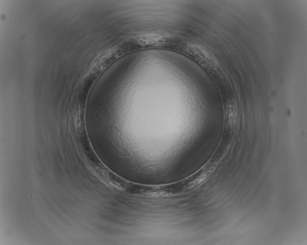 X0000073740408200608241327