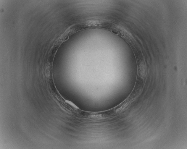 X0000073740413200608241327
