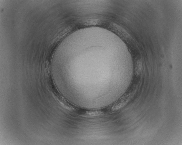 X0000073740414200608241327