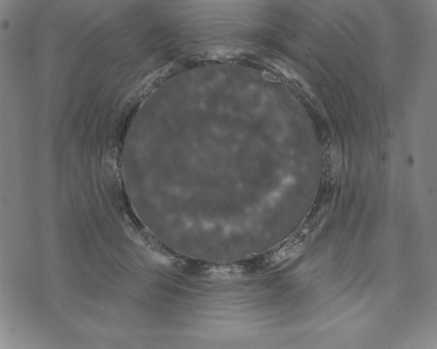 X0000073740415200608241327