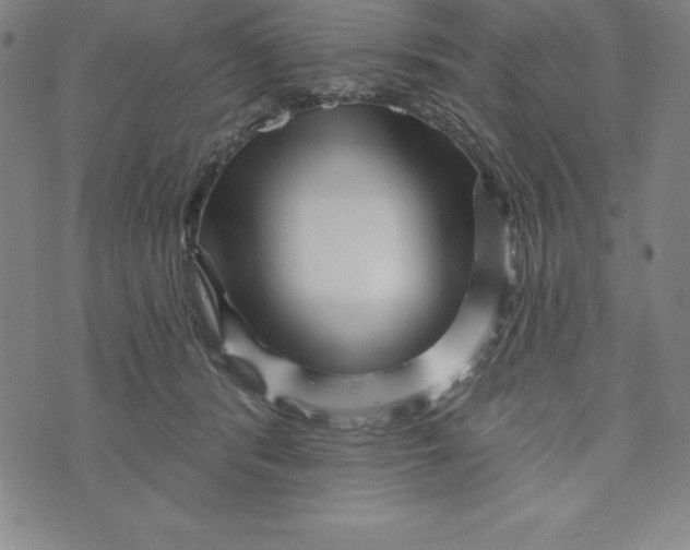 X0000073740416200608241327
