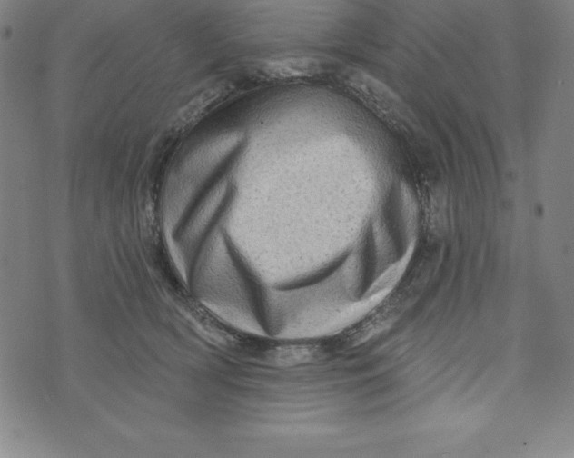 X0000073740418200608241327