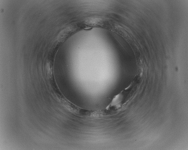 X0000073740420200608241327
