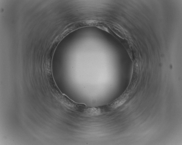 X0000073740421200608241327