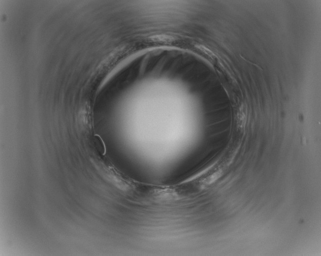 X0000073740424200608241327