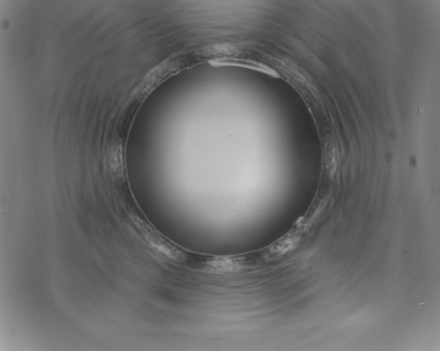 X0000073740425200608241327