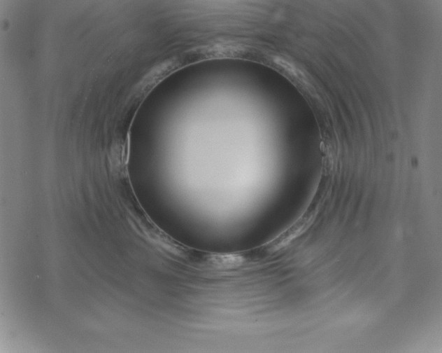 X0000073740429200608241327