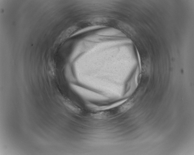 X0000073740430200608241327