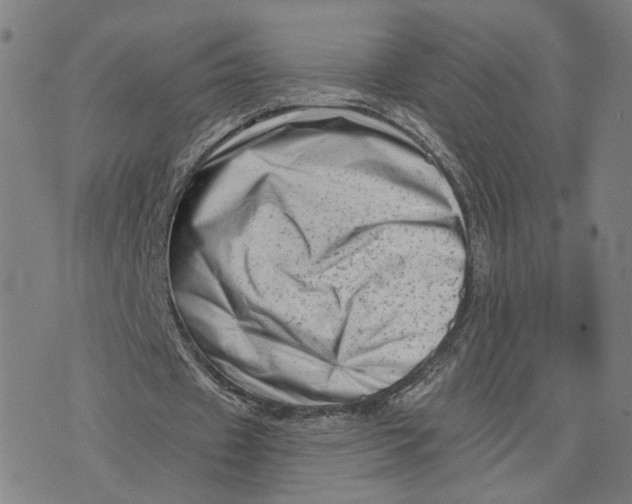 X0000073740433200608241326