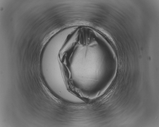 X0000073740437200608241326