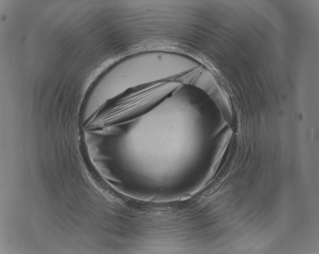X0000073740438200608241326