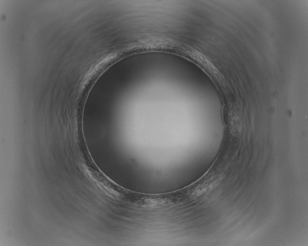 X0000073740442200608241326