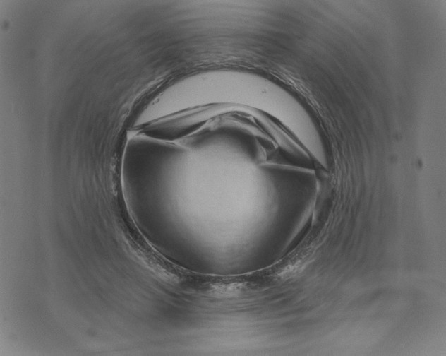 X0000073740450200608241326